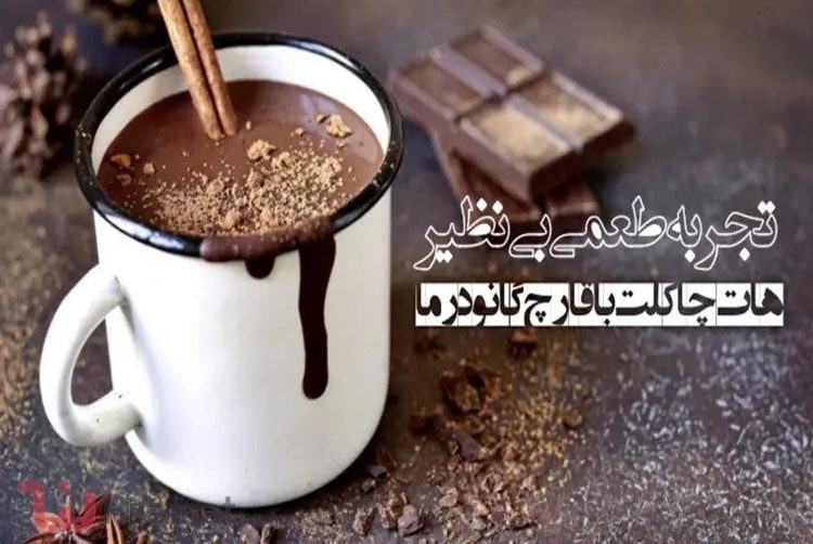 هات چاکلت با قارچ گانودرما