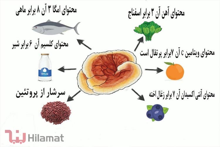 فواید سلامتی قارچ گانودرما