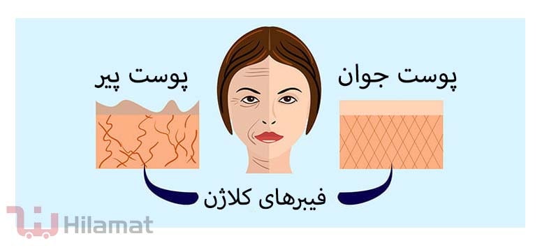 کلاژن چیست و چه کاربردی دارد