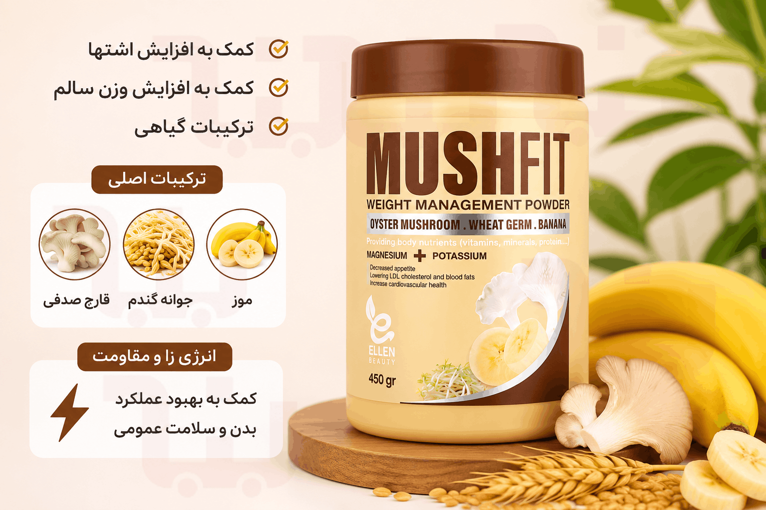 ماشفیت موزی